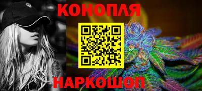 сатива Малгобек
