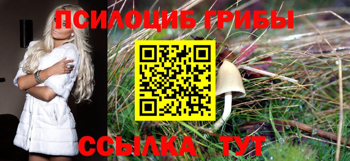 Псилоцибиновые грибы мицелий  Вход с VPN  купить   Чехов  Галлюциногенные грибы мицелий 