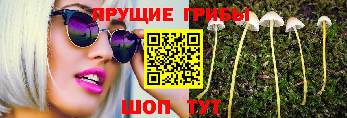 Галлюциногенные грибы мицелий Чехов